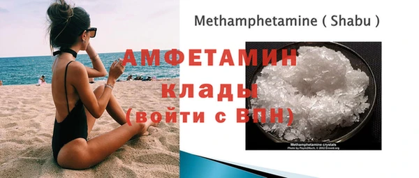 молекула духа Новозыбков