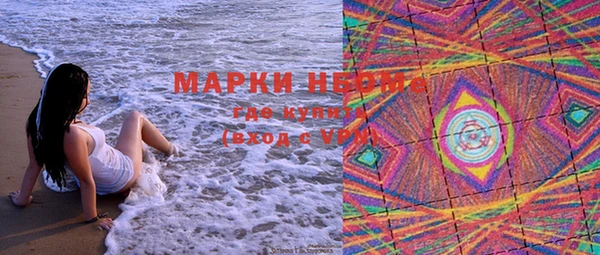 молекула духа Новозыбков