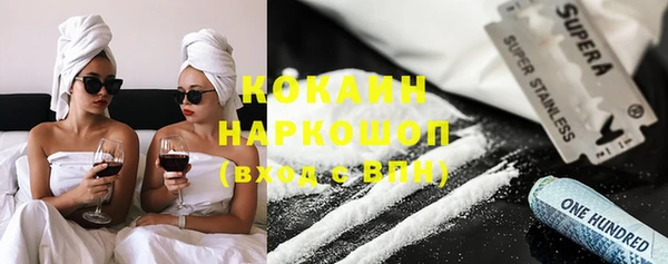 молекула духа Новозыбков