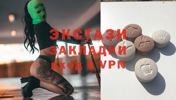 молекула духа Новозыбков