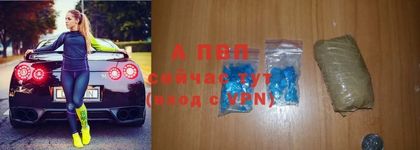 молекула духа Новозыбков