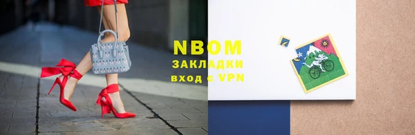 молекула духа Новозыбков