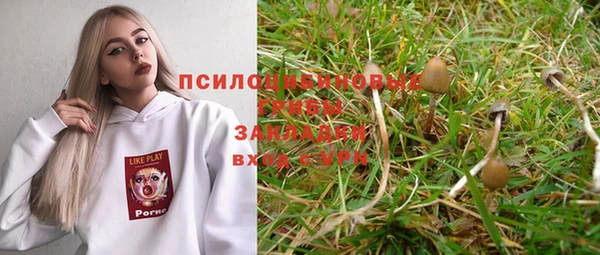 экстази Нестеровская