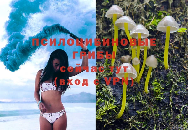 молекула духа Новозыбков