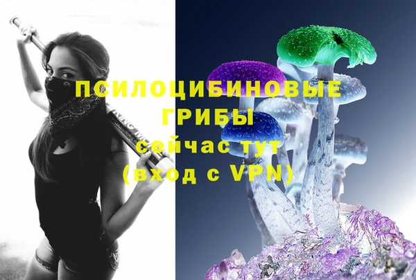 молекула духа Новозыбков
