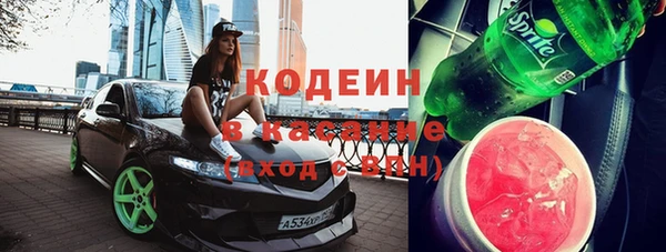 молекула духа Новозыбков