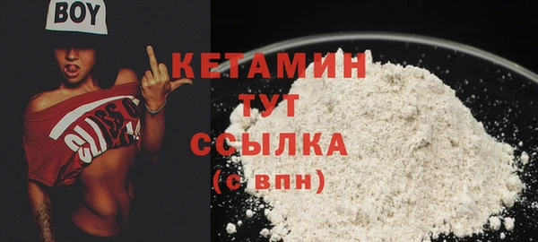 молекула духа Новозыбков