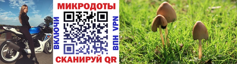 Псилоцибиновые грибы Psilocybine cubensis  цены наркотик  Нальчик 
