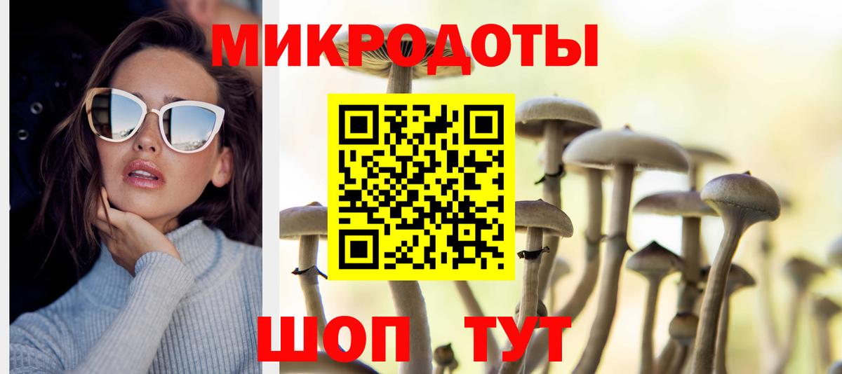 Псилоцибиновые грибы ЛСД Нальчик